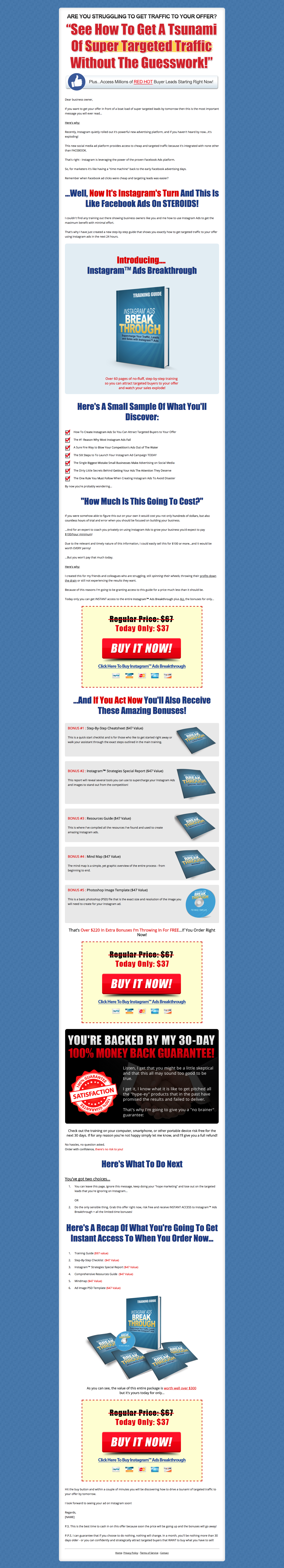 minisite-front-end-salespage-blue minisite-front-end-salespage-blue